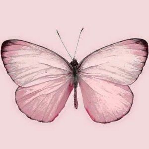 Meet your Posher, Hailey